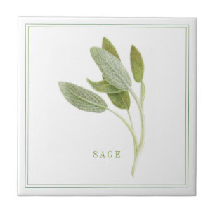 FRESH SAGE 4.25x4.25 Azulejo cerâmico (+texto)