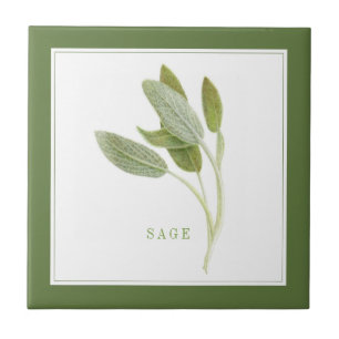 FRESH SAGE 4.25x4.25 Azulejo cerâmico (+texto) Ver