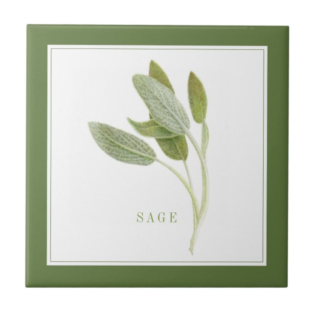 FRESH SAGE 4.25x4.25 Azulejo cerâmico (+texto) Ver (Frente)