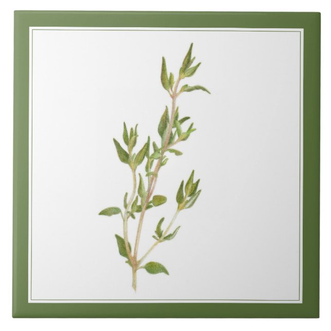 FRESH THYME 6x6 Azulejo cerâmico (-text) Verde (Frente)