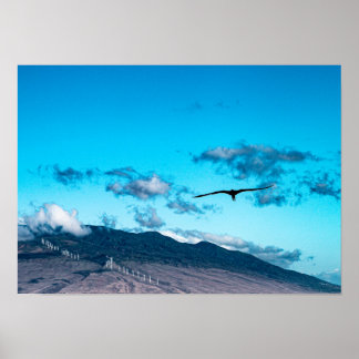 Frigatebird sobre o poster do oceano Maui
