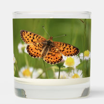 Frigorífico arborizado em Fleabane