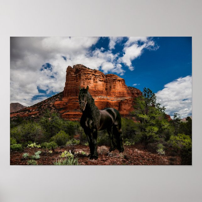 Frísia DIAMOND VI - Poster (Frente)