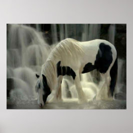 Frison, Papier poster (tapete)