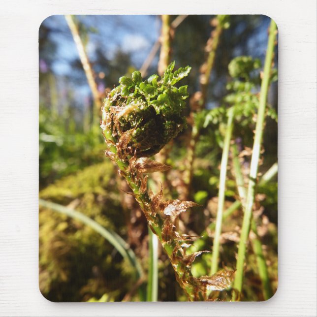 Fronda Mousepad da samambaia (Frente)