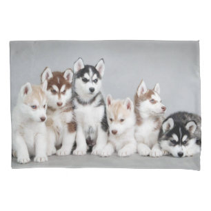 Fronha de almofada dos filhotes de cachorro
