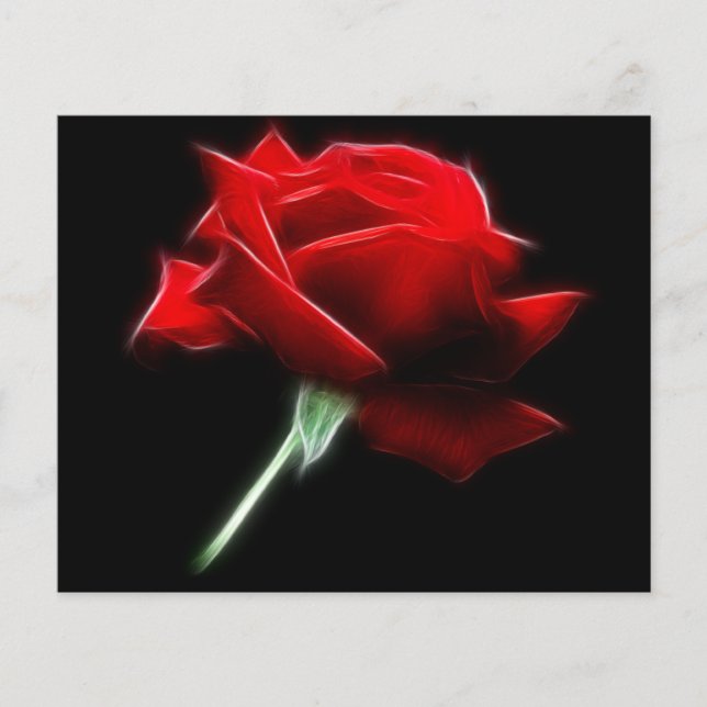 Frota rosa vermelha (Frente)