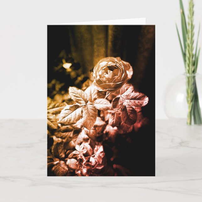 Fruity Parfuma Rosa - Cartões de agradecimentos (Frente)