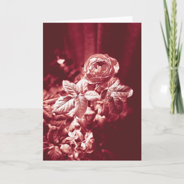 Fruity Parfuma Rosa - Cartões de agradecimentos (Frente)