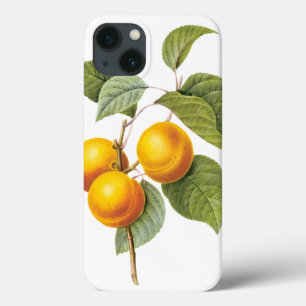 Fruta Alimentícia Antiga, Pêssego Damasco por Redo
