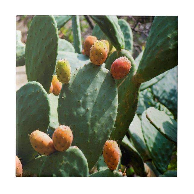 Fruta De Cactus De Pear (Frente)