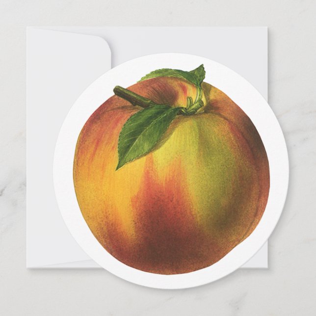 Fruta de Comida, Pêssego Orgânico Elevado com Folh (Frente)