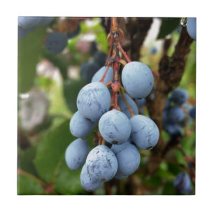 Fruta de espinho negro