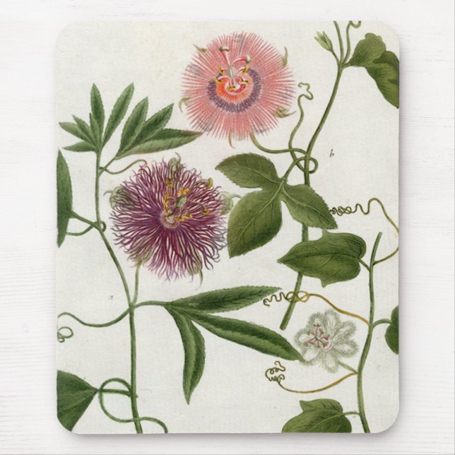 Fruta de paixão Mousepad (Frente)