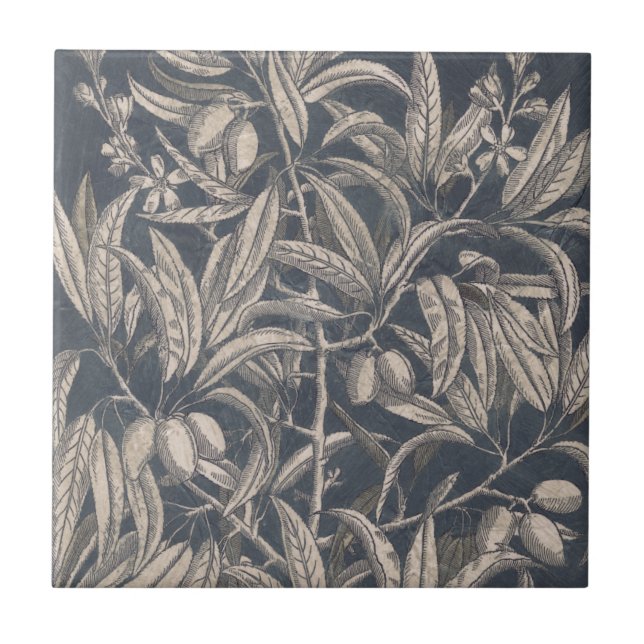 Fruta e Floral I (Frente)