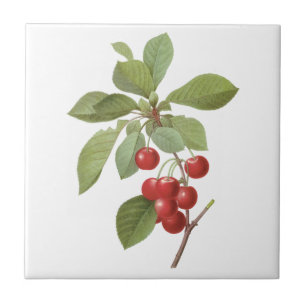 Fruta Vintage Cereja Comida, Cerejas por Redoute