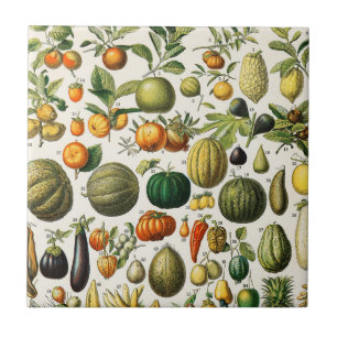 Frutas e produtos hortícolas Azulejo cerâmica