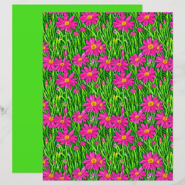 Fuchsia Rosa Flores Selvagens em Campo (Frente/Verso)