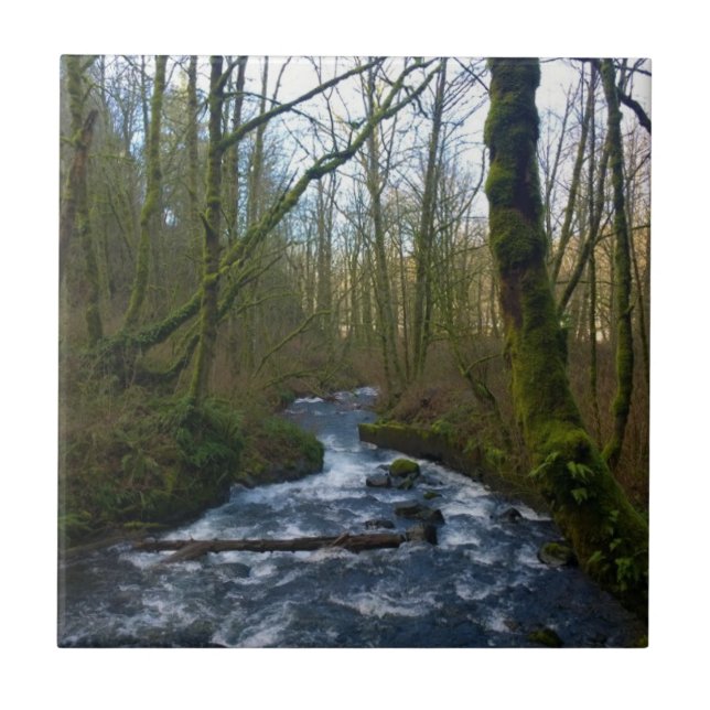 Fuga de Queda de Véu Bridal, OU (Frente)