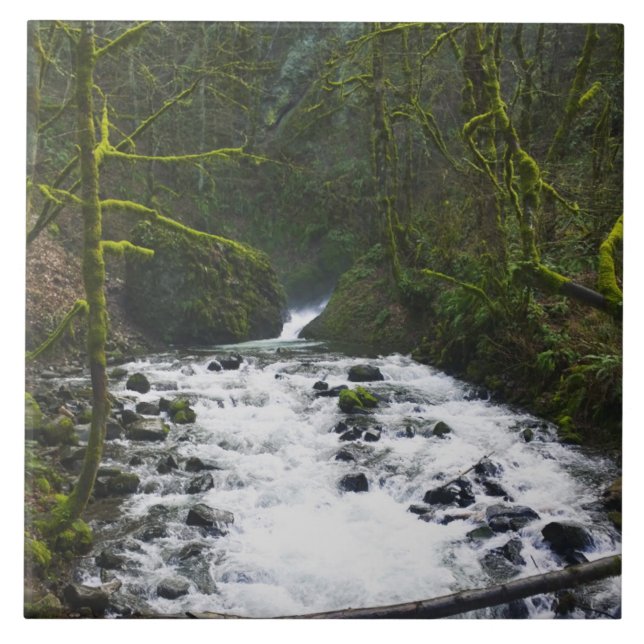 Fuga de Queda de Véu Bridal, OU (Frente)