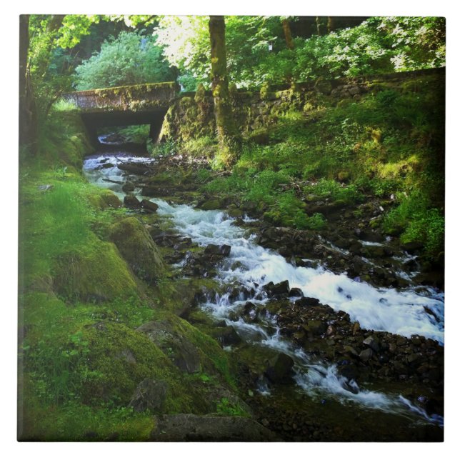 Fuga de Wahkeena Falls, OU (Frente)