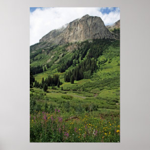 Fugas góticos, poster de Colorado