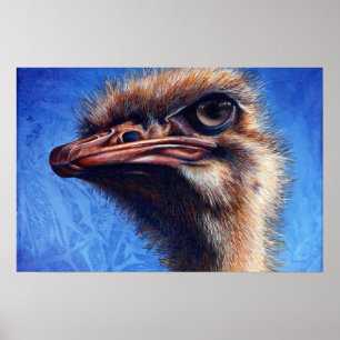 Fugley Ostrich Impressão