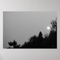 Fulfillment: Nature Zen/Tao Poster