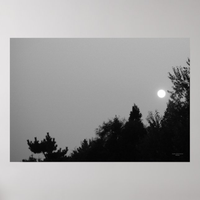 Fulfillment: Nature Zen/Tao Poster (Frente)