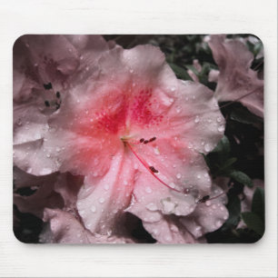 Fulgor interno Mousepad