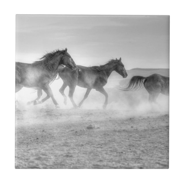 Funcionamento do mustang (Frente)