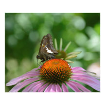 FUNDINDO A FOTO IMPRESSA