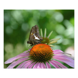 FUNDINDO A FOTO IMPRESSA