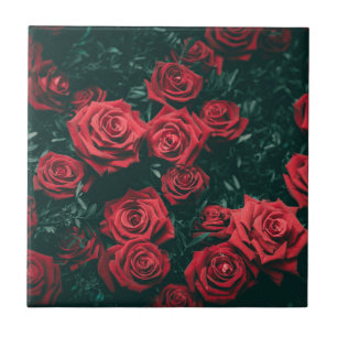 Fundo com padrão floral de rosas vermelhas escuras