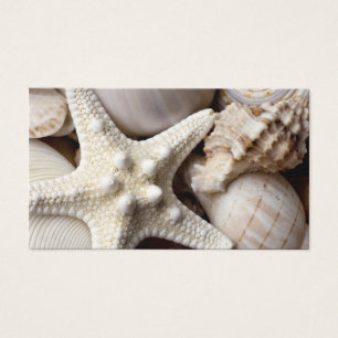 Fundo da estrela do mar de Shell do mar - escudos