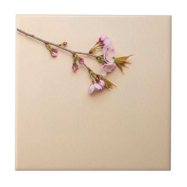 Fundo de Flor de Cerejeira e Margarida (Frente)