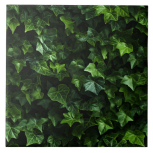 Fundo de Hera, Folhas Verdes, Realismo Naturalista