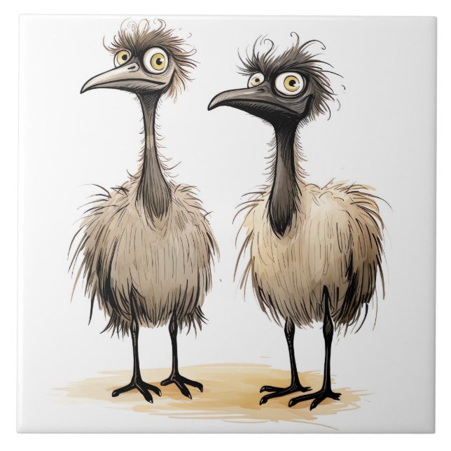 fundo de pássaros engraçados (Frente)