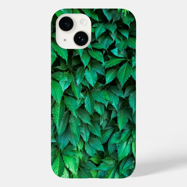 fundo de sebe verde parthenocissus padrão texto (Verso)