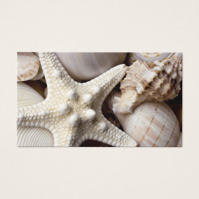 Fundo de Starfish do Sea Shell - Prateleiras (Frente)