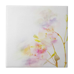 fundo floral com flores da aguarela