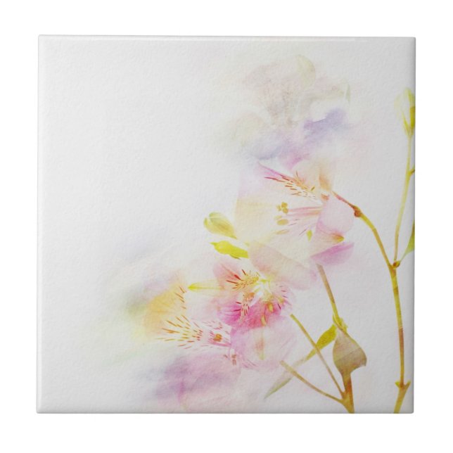 fundo floral com flores da aguarela (Frente)