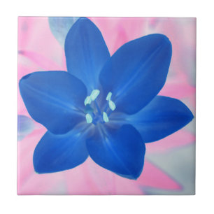 Fundo Rosa Rosa com Flor Azul Neon