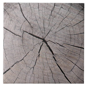 fundo rústico de toco de árvore natural