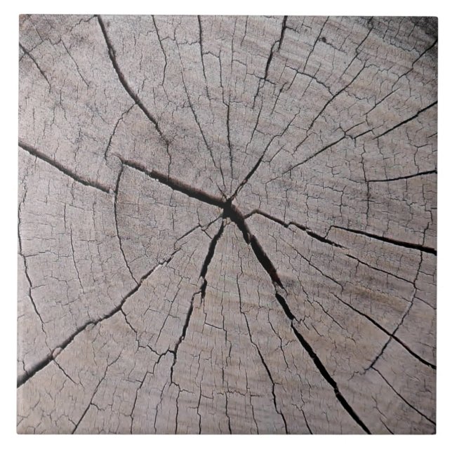 fundo rústico de toco de árvore natural (Frente)