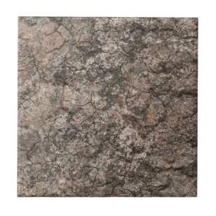 Fundo seco rachado da textura do rés-do-chão do