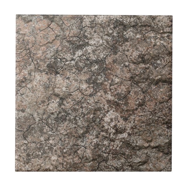 Fundo seco rachado da textura do rés-do-chão do (Frente)