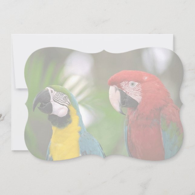 fundo tropical (Frente)