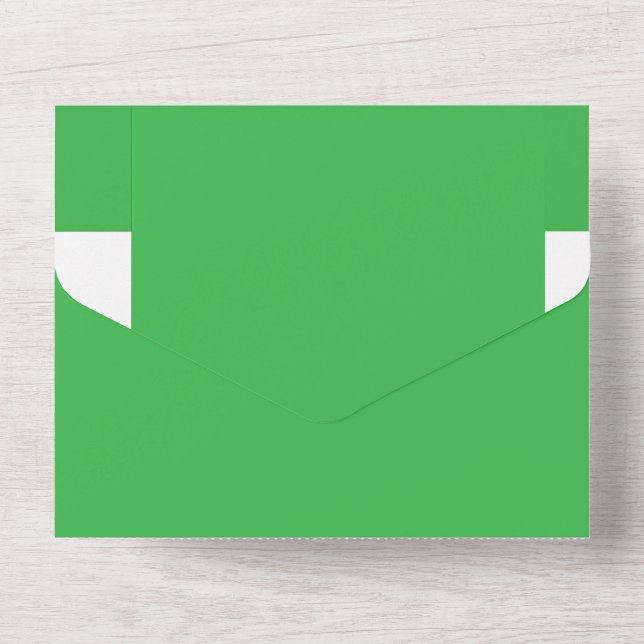 Fundo Verde e Borda Branca para um Aes Moderno (Verso)