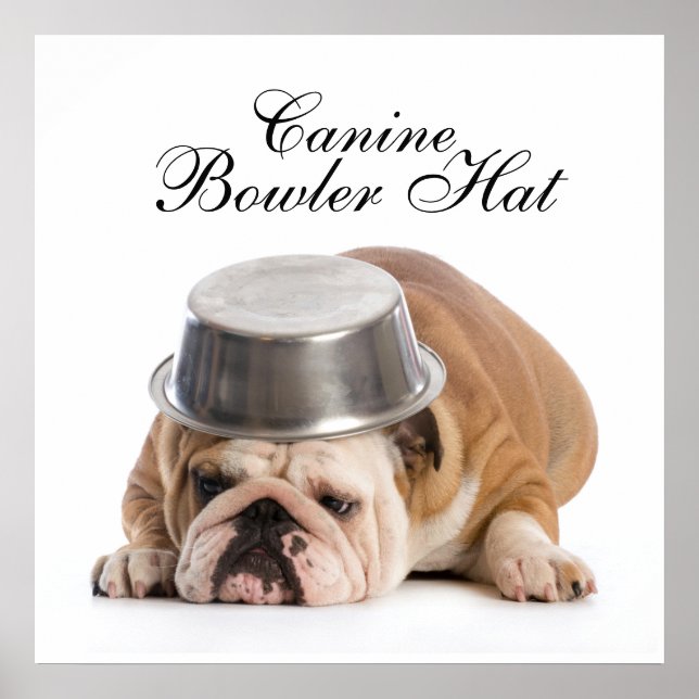 Funny Bulldog Fashion - Poster - srf (Frente)